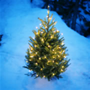 クリスマスイメージ1.jpg